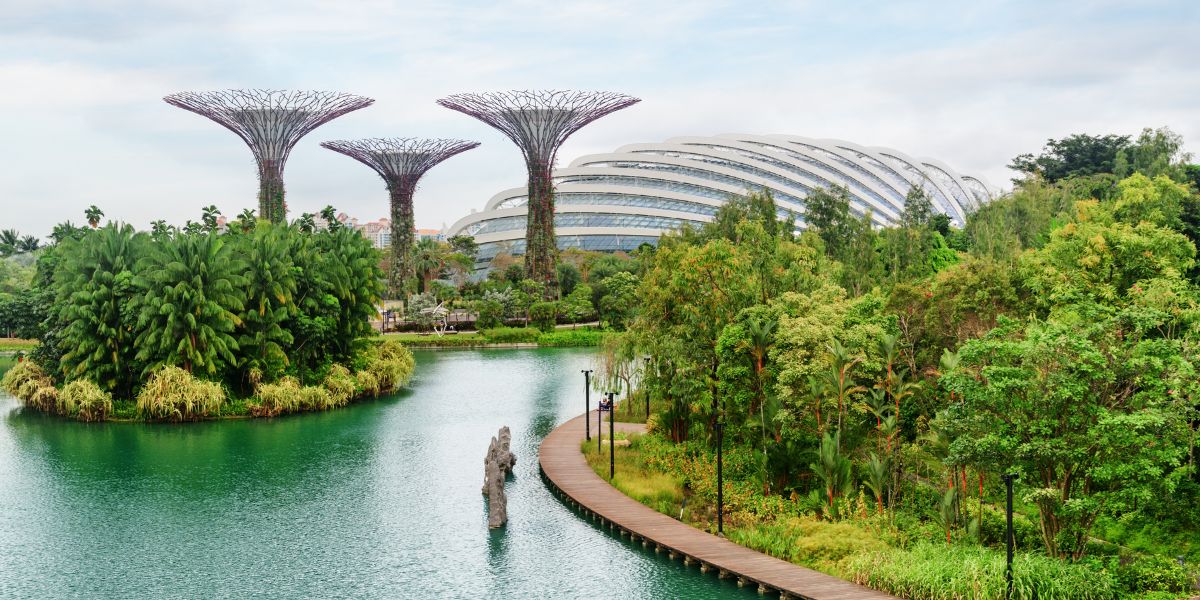Gardens By the Bay - Singapore